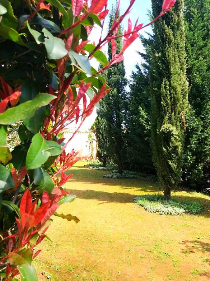 Hotel français à Ferreira do Zêzere Extérieur photo
